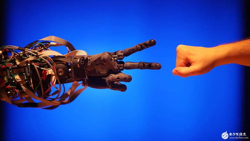 硅谷AI创新 在资本主义框架下的人工智能应用软件开发